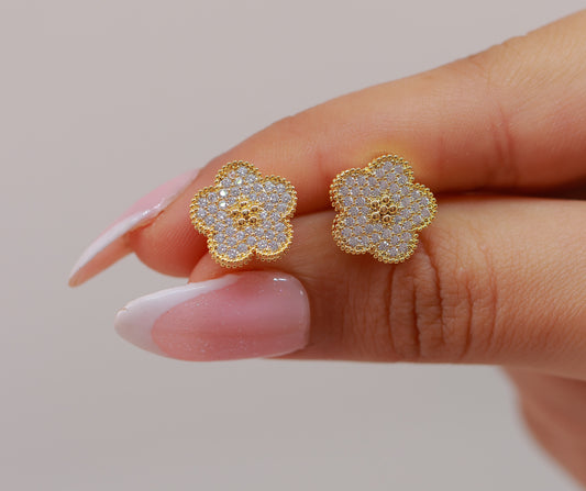 Boucle D'oreille Murray Rose